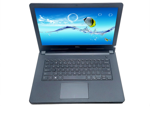 Laptop Dell Render Đồ hoạ