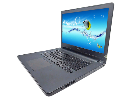 Laptop Dell Render Đồ hoạ