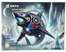 Ổ CỨNG SSD E130 512GB NVMe M.2 PCI-E GEN 3