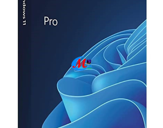 Win 11 pro 64bit ( mã FQC- 10528) Full BOX ( Microsoft Phân phối chính thức ) CQ/CO