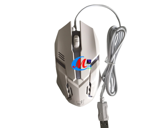 Combo bàn Phím và Chuột Led G21